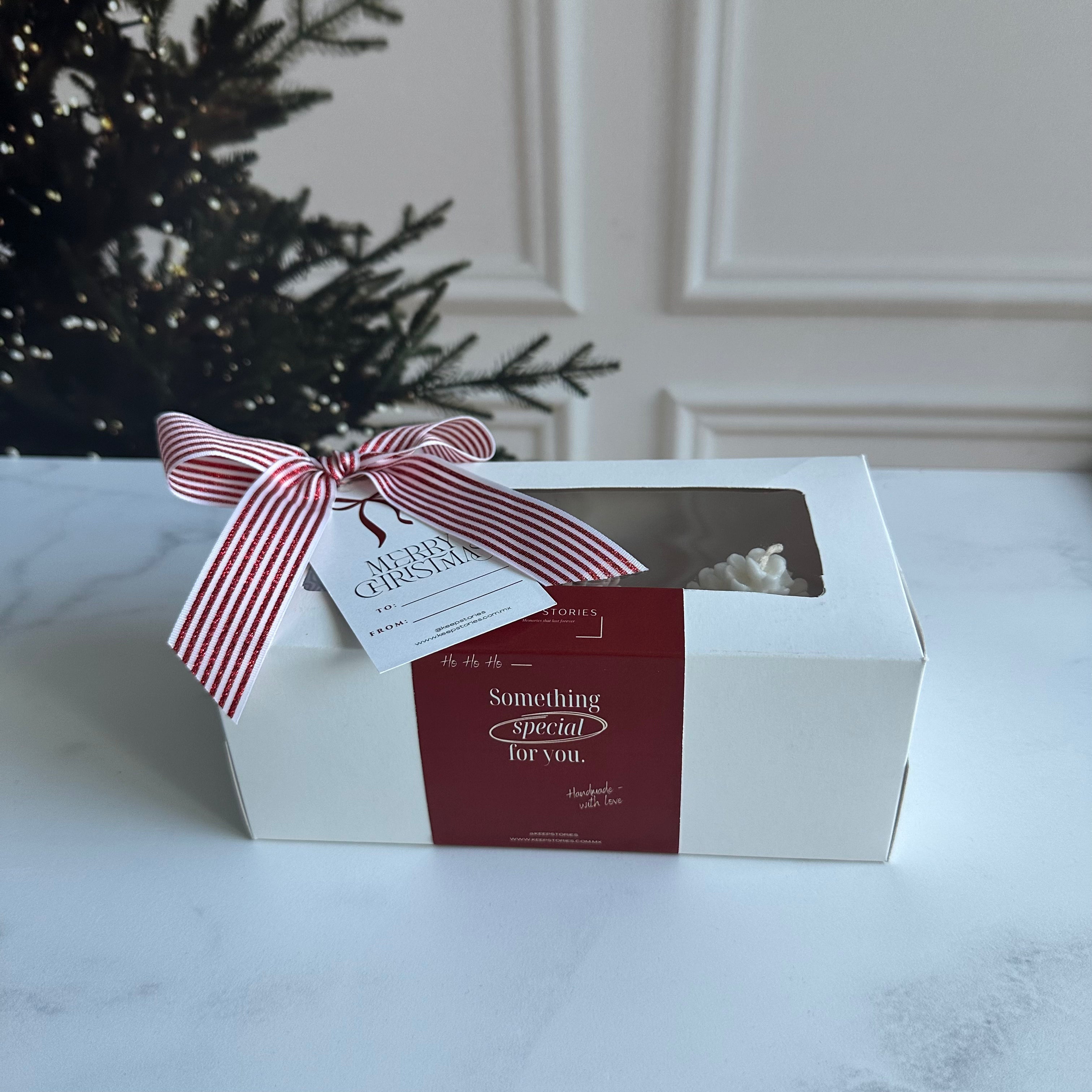 Kit Mini Winter Pinecones